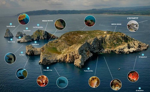 Iles_Les_Medes